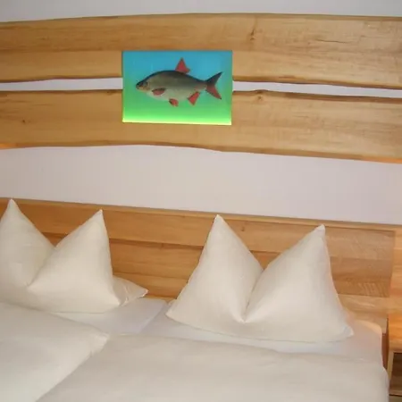 Hotel Karpfenhotel & Herrenhaus Im Sindel-buckel 2*