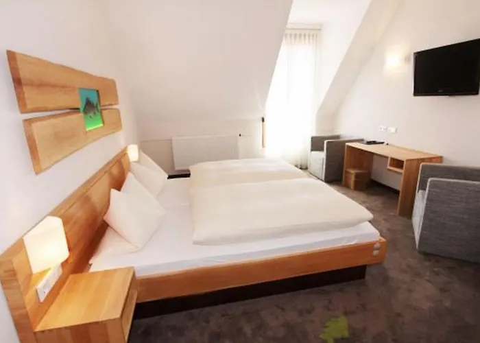 Karpfenhotel & Herrenhaus Im Sindel-buckel Feuchtwangen