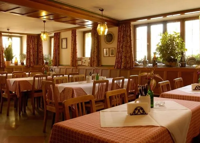 Hotel Karpfenhotel & Herrenhaus Im Sindel-buckel
